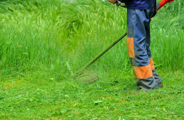 Contacter Dietz Paysagiste